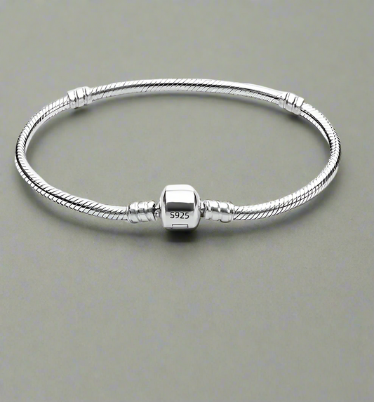 Silver Snake Chain Bracelet