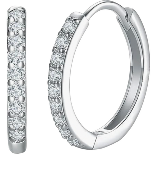 Silver Earrings